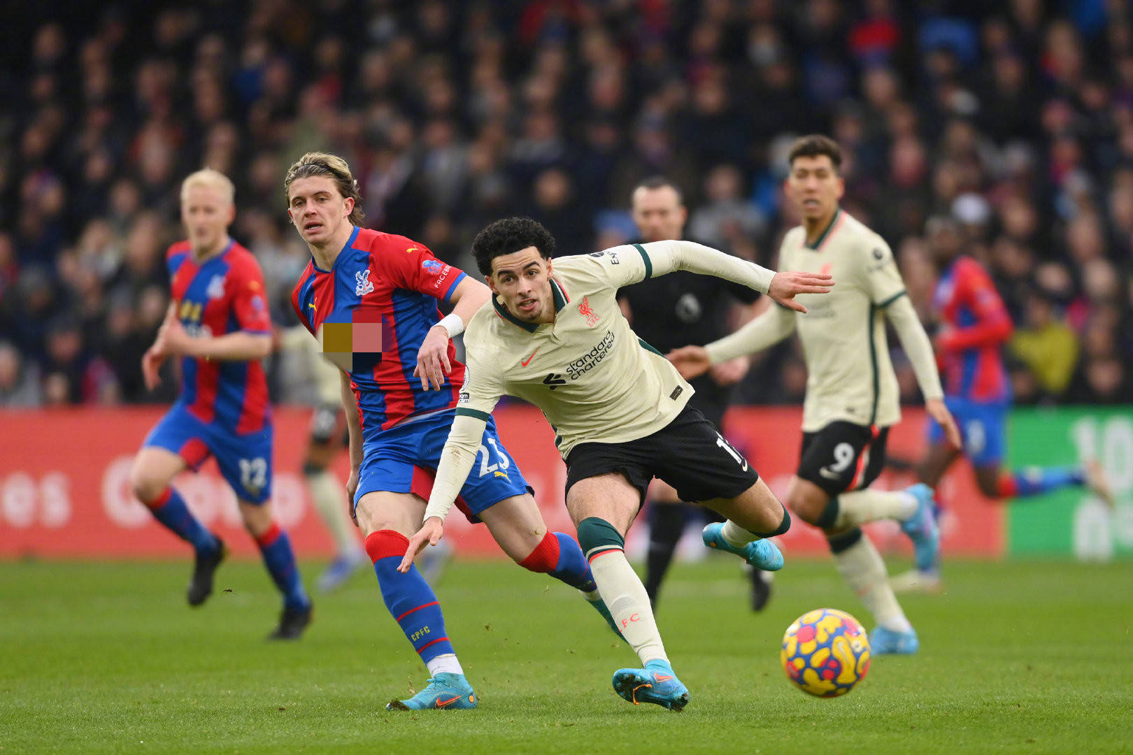 还需要在内 还需要在内